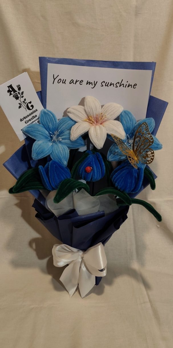 Sueño Celestial Sueño Celestial